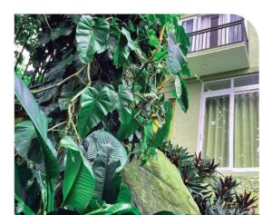 WhatsApp Image 2025-11-12 at 16.30.21_94573e1d